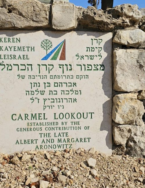 שביל המערות יער קרן הכרמל