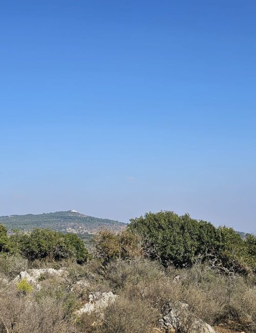 שביל המערות יער קרן הכרמל