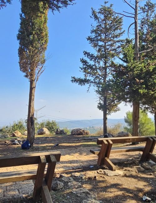 שביל המערות יער קרן הכרמל