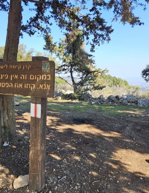 שביל המערות יער קרן הכרמל