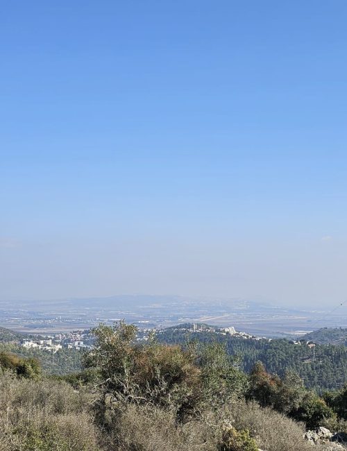 שביל המערות יער קרן הכרמל