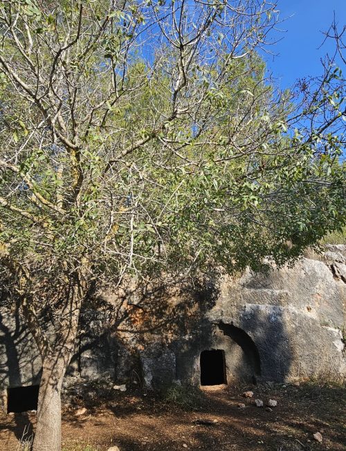 שביל המערות יער קרן הכרמל