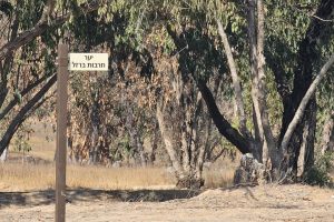 יער חרבות ברזל: אתר הזיכרון להנצחת קורבנות 7 באוקטובר