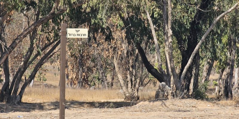 יער חרבות ברזל: אתר הזיכרון להנצחת קורבנות 7 באוקטובר