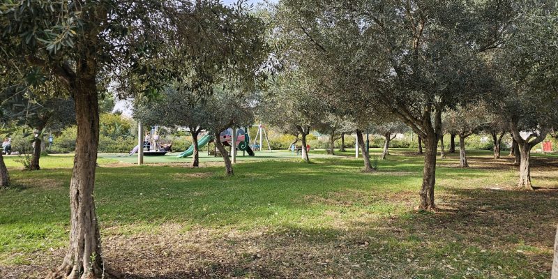 חירבת קב ופארק רבין בכרמיאל: אתר עתיקות בלב פארק ירוק למשפחות