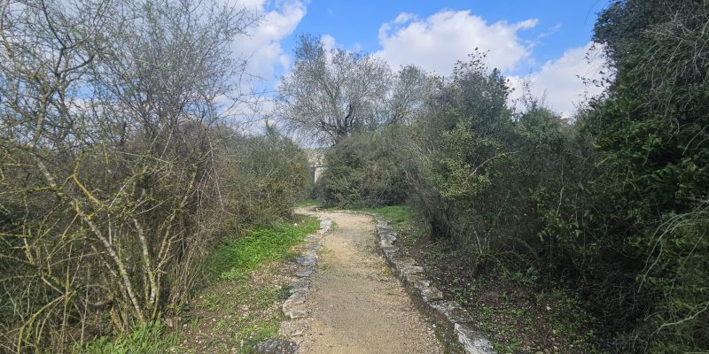 הגן הארכיאולוגי במגדל העמק