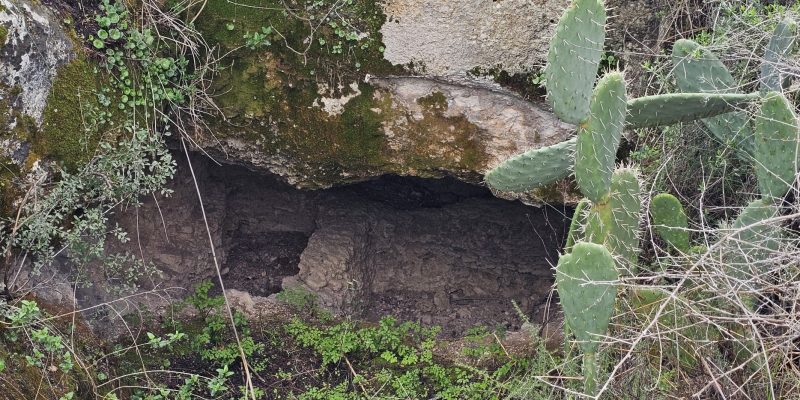 הגן הארכיאולוגי במגדל העמק