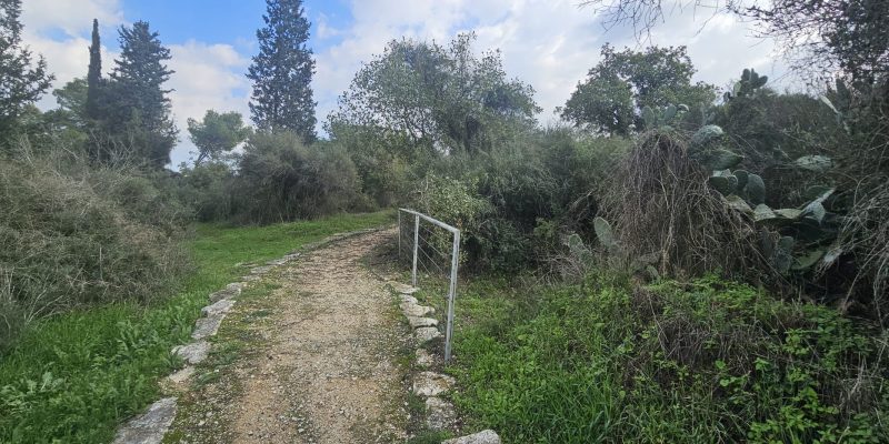 הגן הארכיאולוגי במגדל העמק