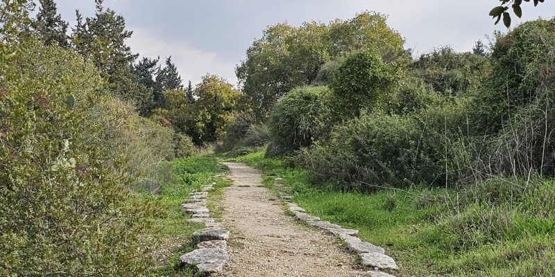 הגן הארכיאולוגי במגדל העמק