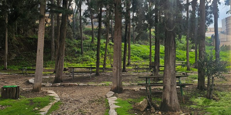 הגן הארכיאולוגי במגדל העמק