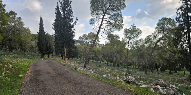 גבעת המורה - חניון גבעת המורה דחי