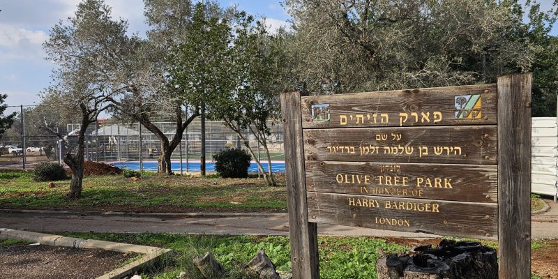 פארק הזיתים והמגדל במגדל העמק