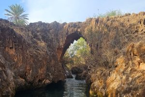 נחל צלמון תחתון גשר הטרווירטין העתיק צילום: חיים חבשוש