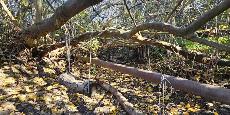 עין זריק (עין כניסה)