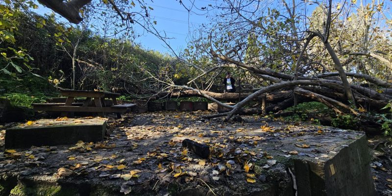 עין זריק (עין כניסה)