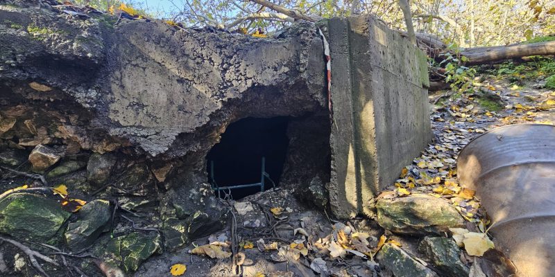 עין זריק (עין כניסה)