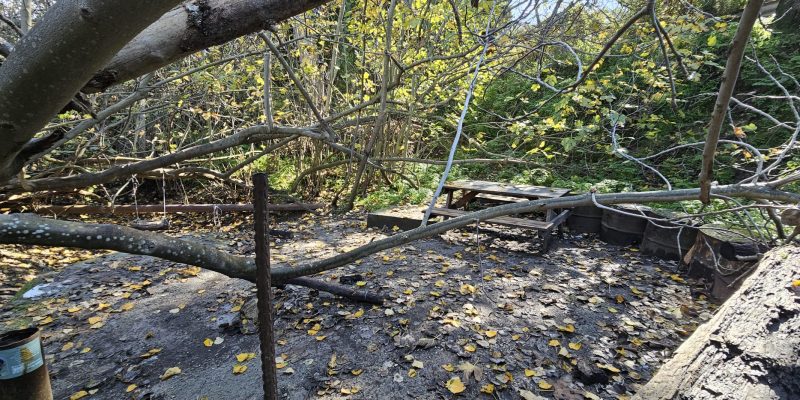 עין זריק (עין כניסה)