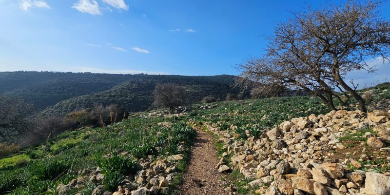 גן לאומי יודפת העתיקה - תל יודפת