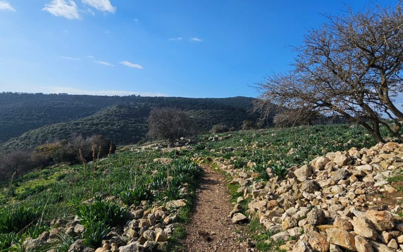 גן לאומי יודפת העתיקה - תל יודפת