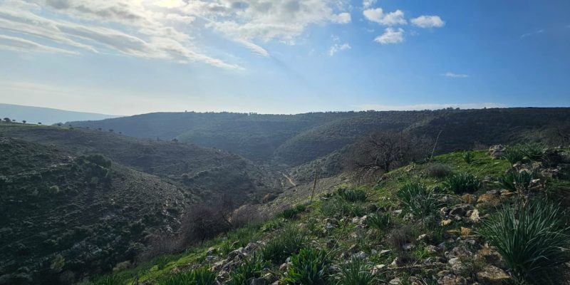 גן לאומי יודפת העתיקה - תל יודפת