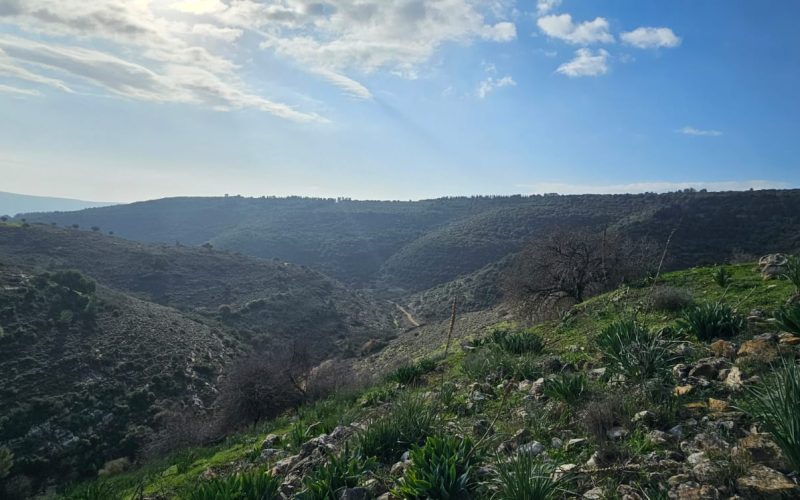 גן לאומי יודפת העתיקה - תל יודפת