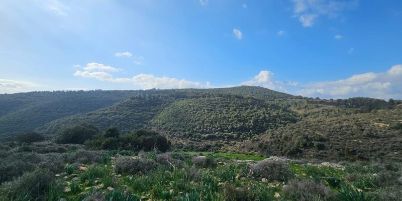 גן לאומי יודפת העתיקה - תל יודפת