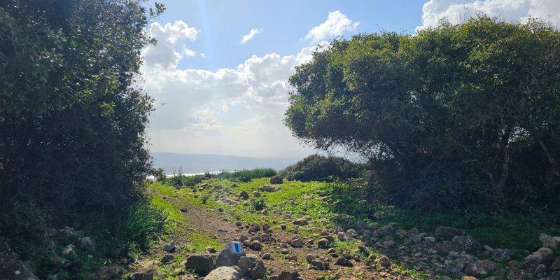 שמורת הטבע הר עצמון