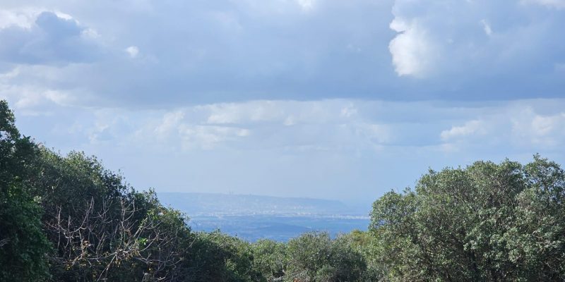 שמורת הטבע הר עצמון