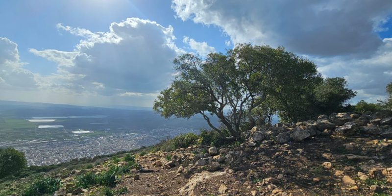 שמורת הטבע הר עצמון