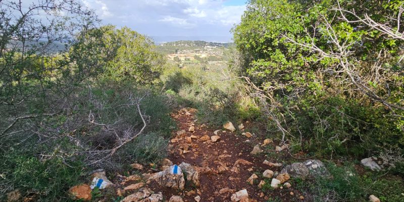 שמורת הטבע הר עצמון