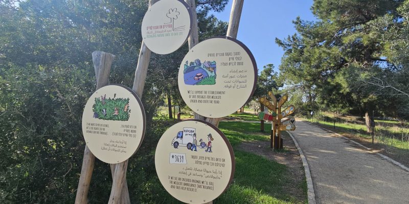 שביל הנשרים פארק רמת הנדיב