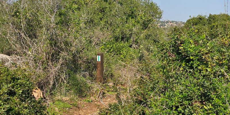 שביל הנשרים פארק רמת הנדיב