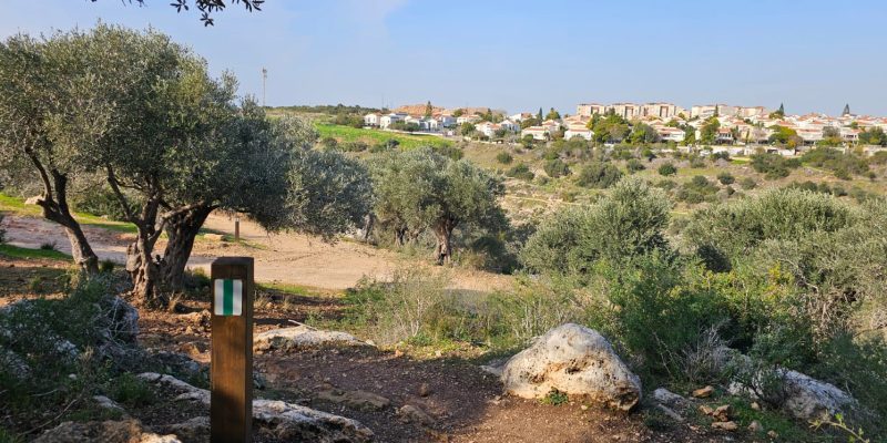 שביל הנשרים פארק רמת הנדיב