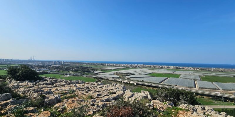 חוטם כרמל