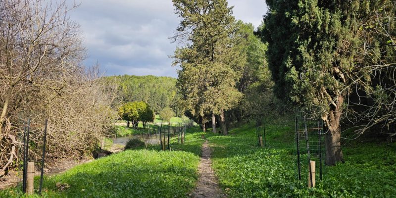 נחל זהורה: סכרוני נחל זהורה ובית המכשפה בשביל מגידו