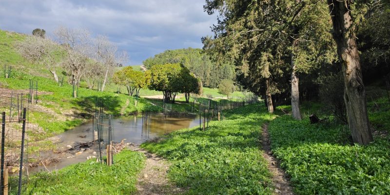 נחל זהורה: סכרוני נחל זהורה ובית המכשפה בשביל מגידו