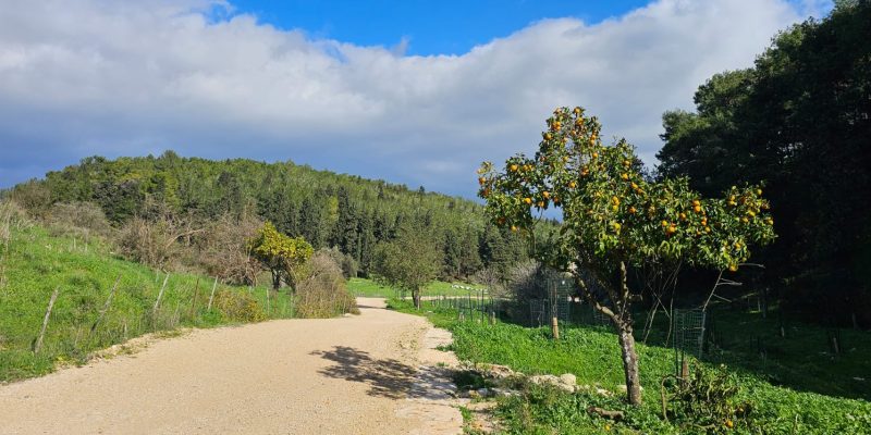 נחל זהורה: סכרוני נחל זהורה ובית המכשפה בשביל מגידו