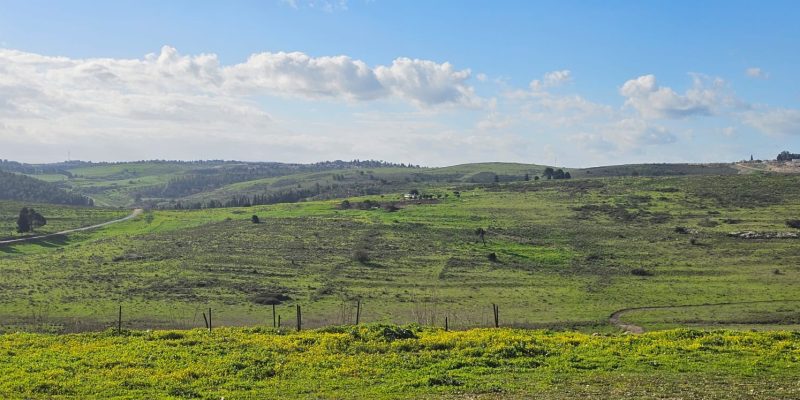 הנוף הנשקף מחירבת קירה