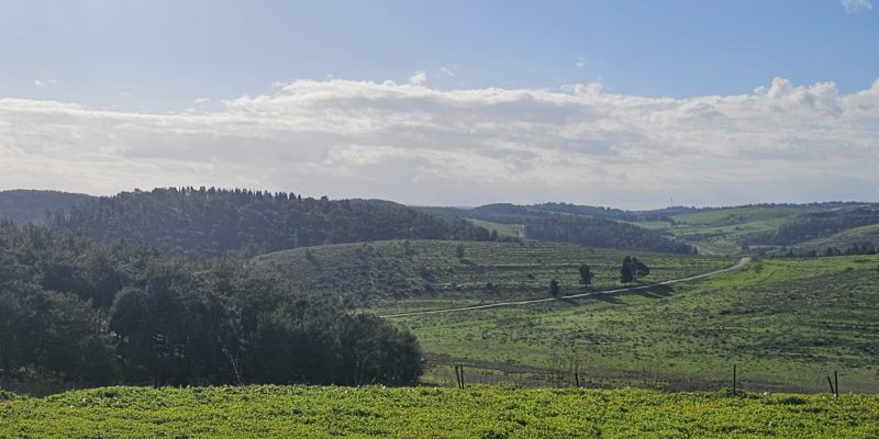 הנוף הנשקף מחירבת קירה
