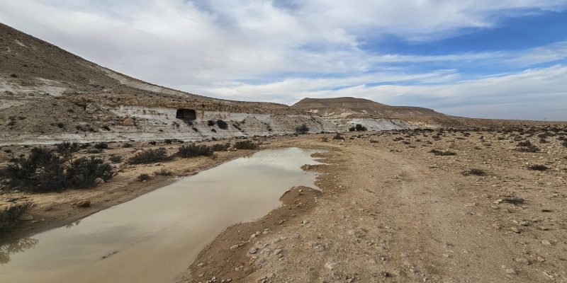 בורות רמליה: טיול מדברי אל בורות המים של הנבטים בלב נחל צין