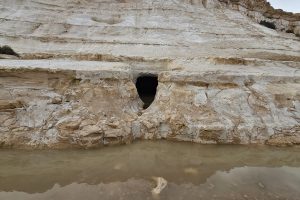 בורות רמליה: טיול מדברי אל בורות המים של הנבטים בלב נחל צין