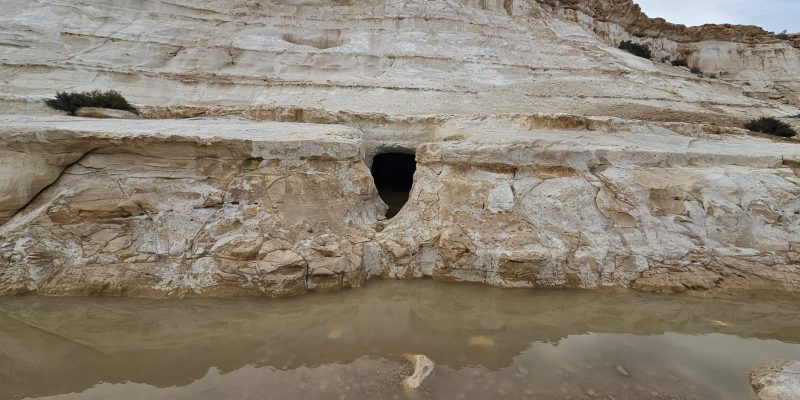 בורות רמליה: טיול מדברי אל בורות המים של הנבטים בלב נחל צין