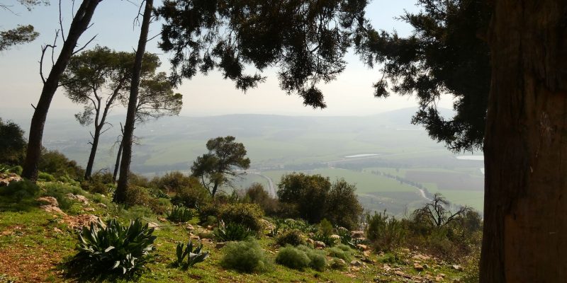 שביל הפסגה הר תבור