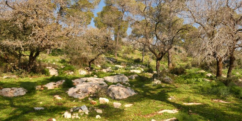 שביל הפסגה הר תבור