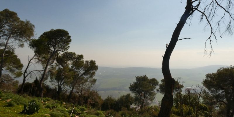 שביל הפסגה הר תבור