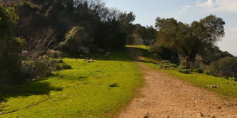 שביל הפסגה הר תבור
