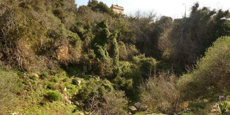 שביל הפסגה הר תבור