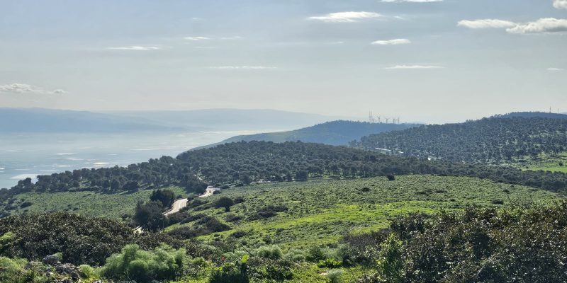 מבט לכיוון בקעת הירדן וחוות הרוח