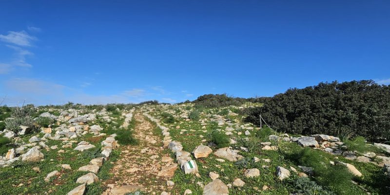 השביל הירוק מחניון האירוסים להר ברקן