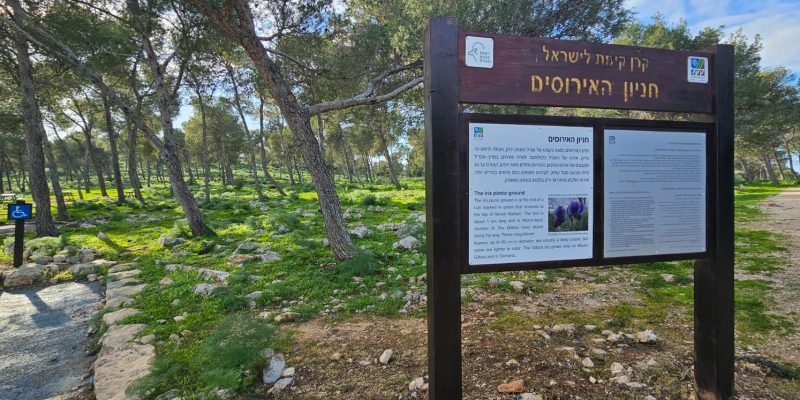 חניון האירוסים בגלבוע